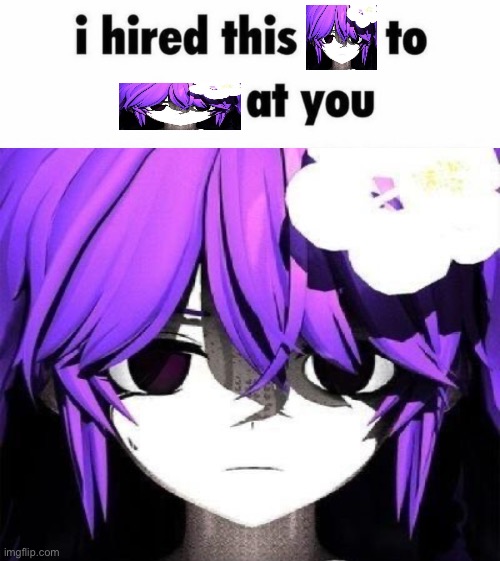 I hired this Fox to stare at you | image tagged in i hired this fox to stare at you | made w/ Imgflip meme maker