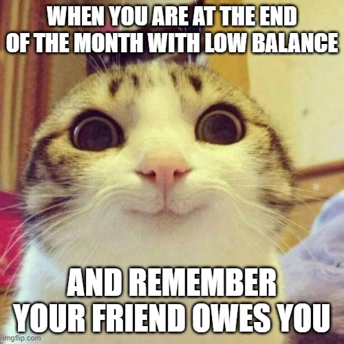 Low Balance | WHEN YOU ARE AT THE END OF THE MONTH WITH LOW BALANCE; AND REMEMBER YOUR FRIEND OWES YOU | image tagged in memes,smiling cat | made w/ Imgflip meme maker