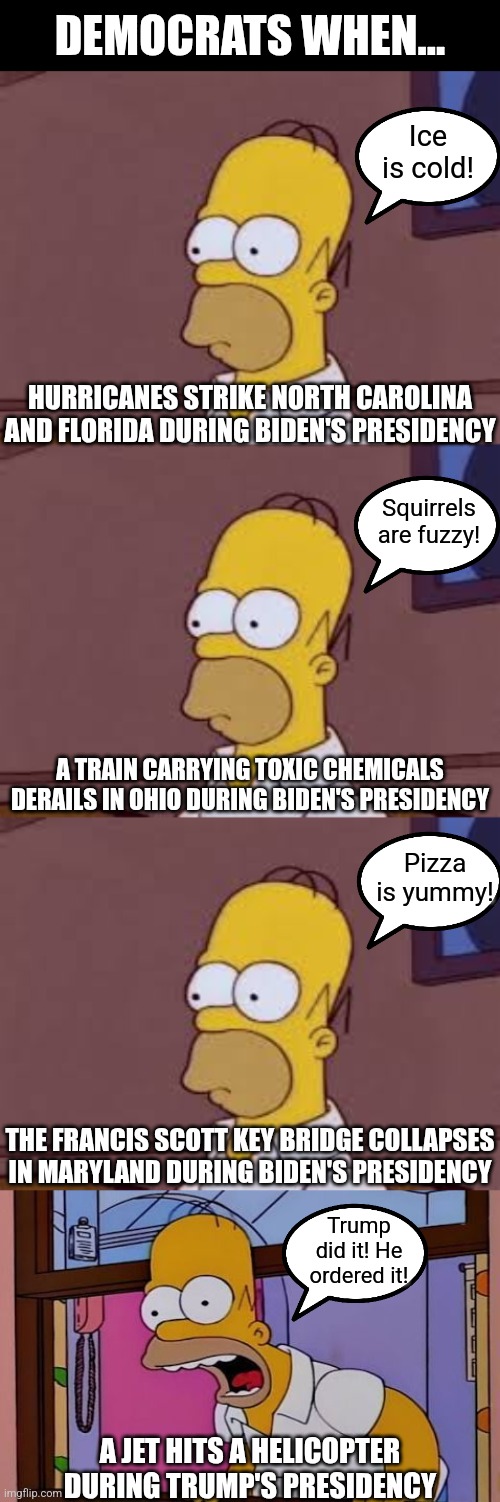 Rational thought...... its a problem for today's modern Democrat voter. | DEMOCRATS WHEN... Ice is cold! HURRICANES STRIKE NORTH CAROLINA AND FLORIDA DURING BIDEN'S PRESIDENCY; Squirrels are fuzzy! A TRAIN CARRYING TOXIC CHEMICALS DERAILS IN OHIO DURING BIDEN'S PRESIDENCY; Pizza is yummy! THE FRANCIS SCOTT KEY BRIDGE COLLAPSES IN MARYLAND DURING BIDEN'S PRESIDENCY; Trump did it! He ordered it! A JET HITS A HELICOPTER DURING TRUMP'S PRESIDENCY | image tagged in democrats,liberal hypocrisy,modern problems,media bias,know the difference,truth | made w/ Imgflip meme maker