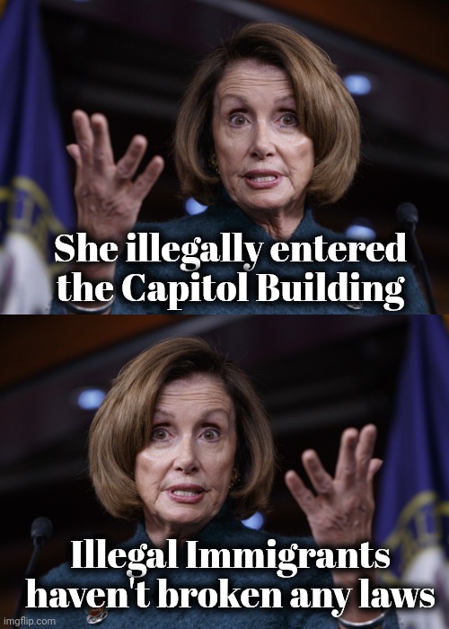 She illegally entered the Capitol Building Illegal Immigrants haven't broken any laws | image tagged in good old nancy pelosi | made w/ Imgflip meme maker