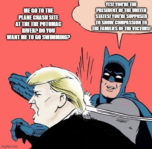 Batman slaps Trump | YES! YOU'RE THE PRESIDENT OF THE UNITED STATES! YOU'RE SUPPOSED TO SHOW COMPASSION TO THE FAMILIES OF THE VICTIMS! ME GO TO THE PLANE CRASH SITE AT THE THE POTOMAC RIVER? DO YOU WANT ME TO GO SWIMMING? | image tagged in batman slaps trump | made w/ Imgflip meme maker