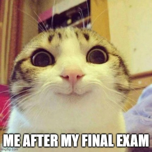 Smiling Cat Meme | ME AFTER MY FINAL EXAM | image tagged in memes,smiling cat | made w/ Imgflip meme maker