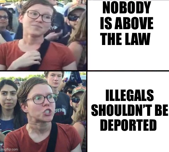 No one is above the law | NOBODY IS ABOVE THE LAW; ILLEGALS SHOULDN’T BE DEPORTED | image tagged in triggered liberal woman nice and mean,politics,political meme,illegal aliens,illegal immigration | made w/ Imgflip meme maker