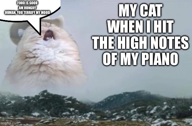 Mariachi Cat | FOOD IS GOOD
AM HUNGRY
HUMAN, YOU TERRIFY MY MOOD; MY CAT WHEN I HIT THE HIGH NOTES OF MY PIANO | image tagged in mariachi cat,memes,funny memes,funny,cats,cat | made w/ Imgflip meme maker