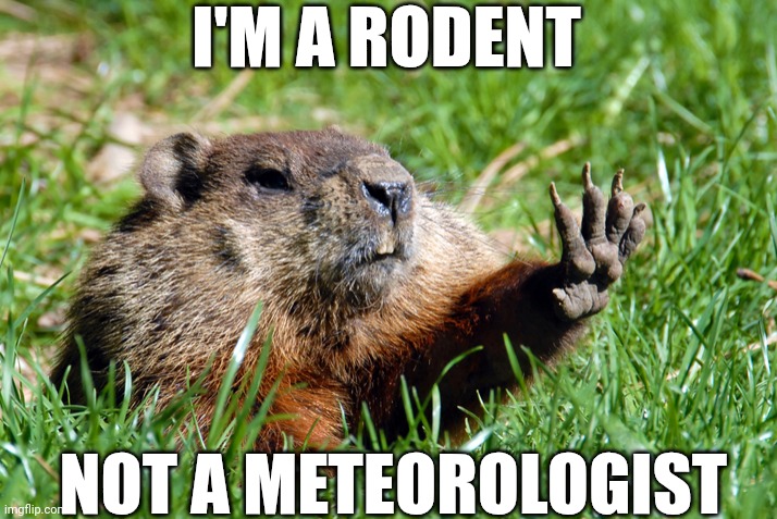 I'm A Rodent Not A Meteorologist | I'M A RODENT; NOT A METEOROLOGIST | image tagged in groundhog | made w/ Imgflip meme maker