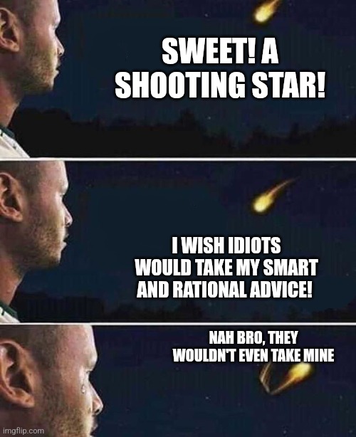 shooting star | SWEET! A SHOOTING STAR! I WISH IDIOTS WOULD TAKE MY SMART AND RATIONAL ADVICE! NAH BRO, THEY WOULDN'T EVEN TAKE MINE | image tagged in shooting star | made w/ Imgflip meme maker