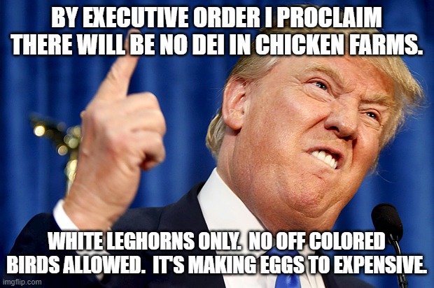 eggs | BY EXECUTIVE ORDER I PROCLAIM THERE WILL BE NO DEI IN CHICKEN FARMS. WHITE LEGHORNS ONLY.  NO OFF COLORED BIRDS ALLOWED.  IT'S MAKING EGGS TO EXPENSIVE. | image tagged in donald trump | made w/ Imgflip meme maker