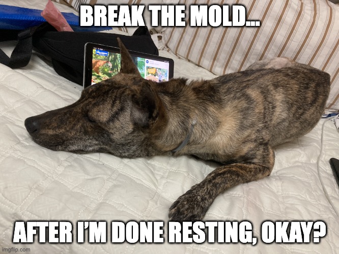 Dog in bed | BREAK THE MOLD... AFTER I’M DONE RESTING, OKAY? | image tagged in asleepy dog | made w/ Imgflip meme maker