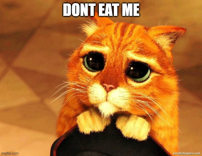 pussinboots | DONT EAT ME | image tagged in pussinboots | made w/ Imgflip meme maker