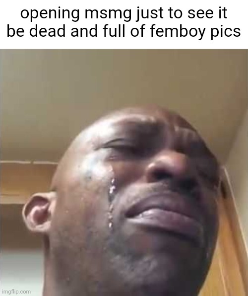 *sobs* | opening msmg just to see it be dead and full of femboy pics | image tagged in crying guy meme | made w/ Imgflip meme maker