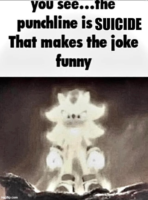 Shadow explains the joke | SUICIDE | image tagged in shadow explains the joke | made w/ Imgflip meme maker