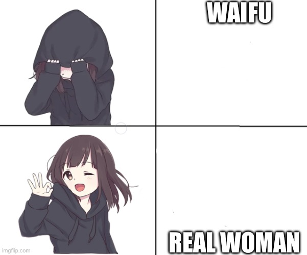 This is for certain anime fans | WAIFU; REAL WOMAN | image tagged in anime girl hotline bling | made w/ Imgflip meme maker