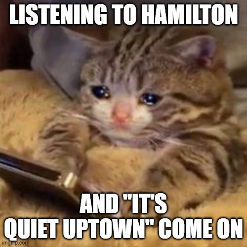 See alse: Burn, Stay alive (Reprise), and The World Was Wide Enough | LISTENING TO HAMILTON; AND "IT'S QUIET UPTOWN" COME ON | image tagged in crying cat on phone | made w/ Imgflip meme maker