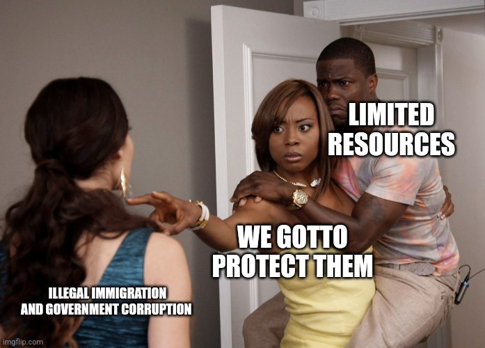 Woman Holding Kevin Hart | LIMITED RESOURCES WE GOTTO PROTECT THEM ILLEGAL IMMIGRATION AND GOVERNMENT CORRUPTION | image tagged in woman holding kevin hart | made w/ Imgflip meme maker