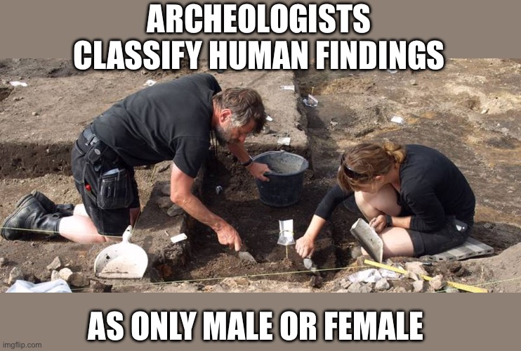 archeologists | ARCHEOLOGISTS CLASSIFY HUMAN FINDINGS AS ONLY MALE OR FEMALE | image tagged in archeologists | made w/ Imgflip meme maker