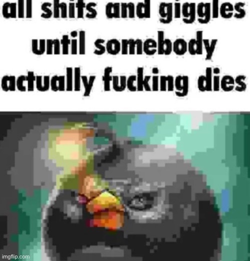 Shits and giggles | image tagged in gifs,memes,funny,shitpost,angry birds,msmg | made w/ Imgflip meme maker