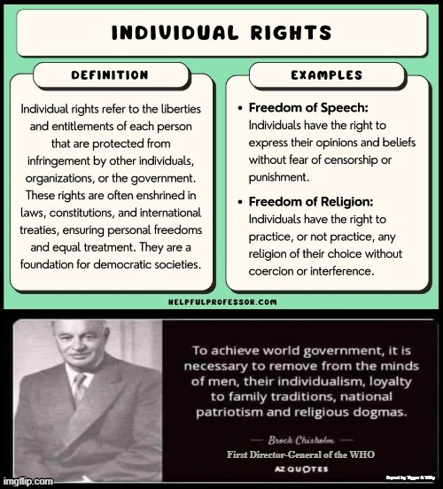 Why Globalists Promote Policies of Open Borders & Mass Immigration into The Western Democracies | First Director-General of the WHO | made w/ Imgflip meme maker