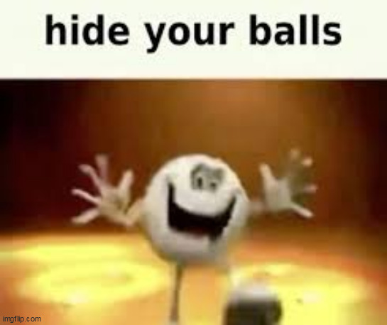 hide your balls | image tagged in hide your balls | made w/ Imgflip meme maker