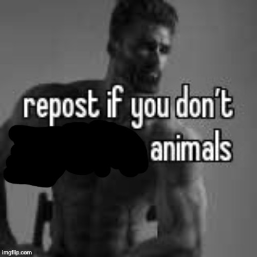 Repost if you don't | image tagged in repost if you don't | made w/ Imgflip meme maker