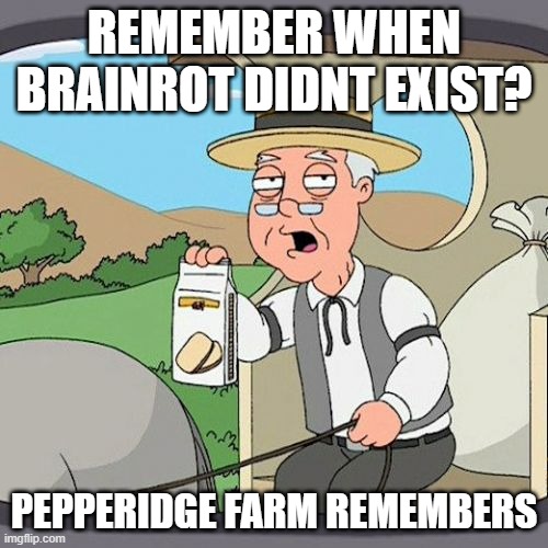 Pepperidge Farm Remembers | REMEMBER WHEN BRAINROT DIDNT EXIST? PEPPERIDGE FARM REMEMBERS | image tagged in memes,pepperidge farm remembers | made w/ Imgflip meme maker