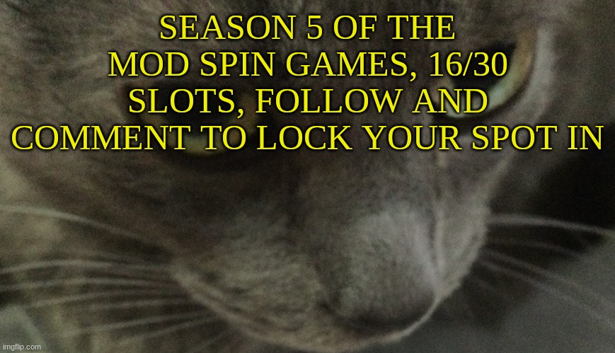 Sweetie | SEASON 5 OF THE MOD SPIN GAMES, 16/30 SLOTS, FOLLOW AND COMMENT TO LOCK YOUR SPOT IN | image tagged in sweetie | made w/ Imgflip meme maker