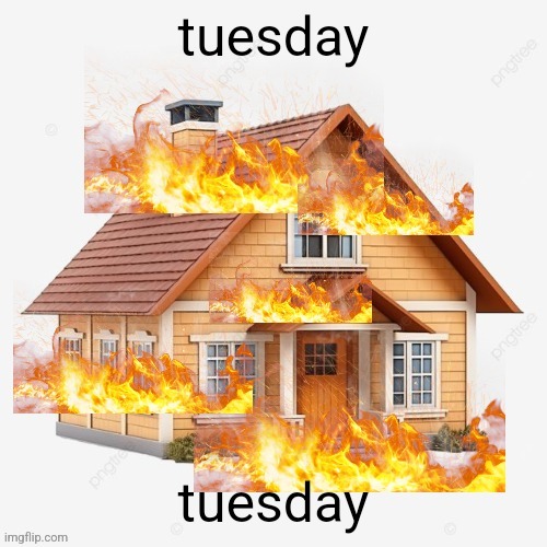 tuesday | tuesday; tuesday | image tagged in why are you reading the tags | made w/ Imgflip meme maker