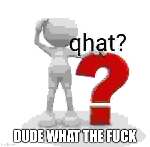 qhat? | DUDE WHAT THE FUCK | image tagged in qhat | made w/ Imgflip meme maker