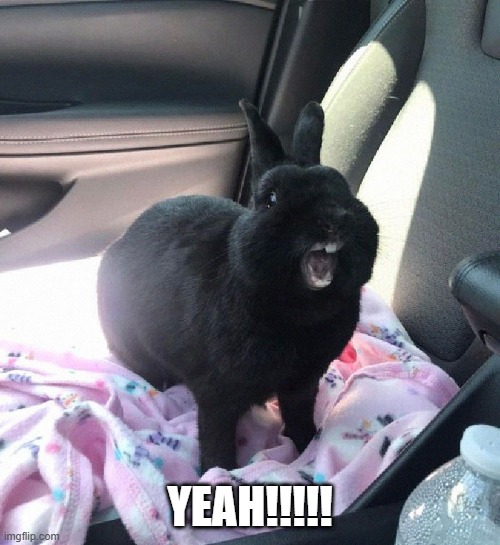 Happy Bunny | YEAH!!!!! | image tagged in bunnies | made w/ Imgflip meme maker