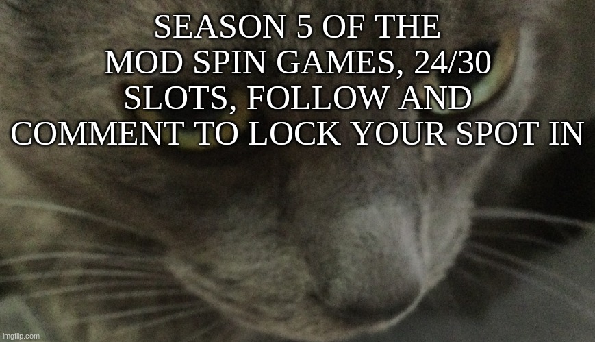 6 slots left | SEASON 5 OF THE MOD SPIN GAMES, 24/30 SLOTS, FOLLOW AND COMMENT TO LOCK YOUR SPOT IN | image tagged in sweetie | made w/ Imgflip meme maker