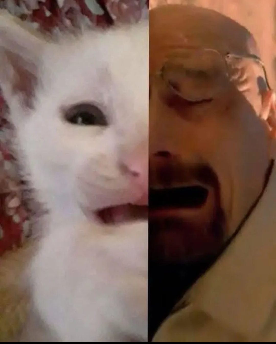 Walter and cat crying Blank Meme Template
