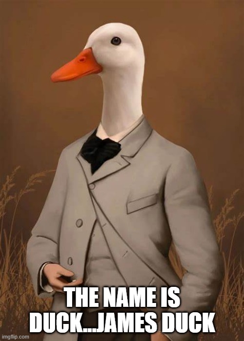 James Duck | THE NAME IS DUCK...JAMES DUCK | image tagged in ducks | made w/ Imgflip meme maker