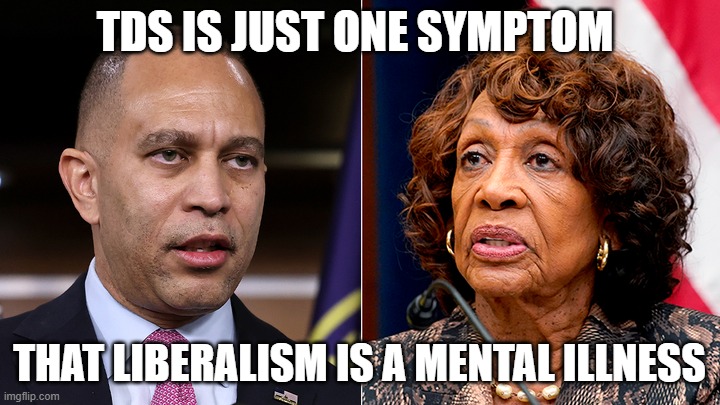 TDS is Real | TDS IS JUST ONE SYMPTOM; THAT LIBERALISM IS A MENTAL ILLNESS | image tagged in tds is real | made w/ Imgflip meme maker