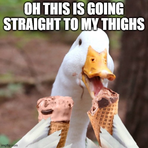 Ice Cream Duck | OH THIS IS GOING STRAIGHT TO MY THIGHS | image tagged in ducks | made w/ Imgflip meme maker