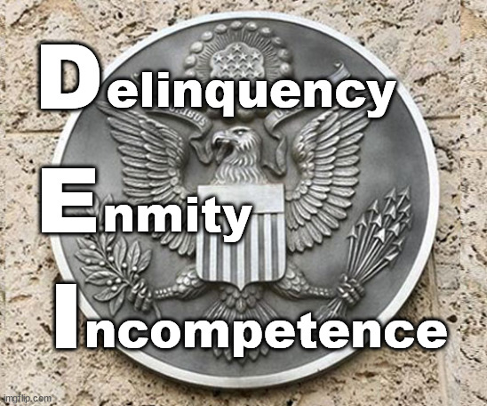 D; elinquency; E; nmity; I; ncompetence | image tagged in dei | made w/ Imgflip meme maker