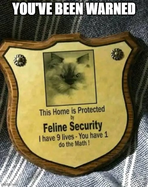 Feline Security | YOU'VE BEEN WARNED | image tagged in cats | made w/ Imgflip meme maker