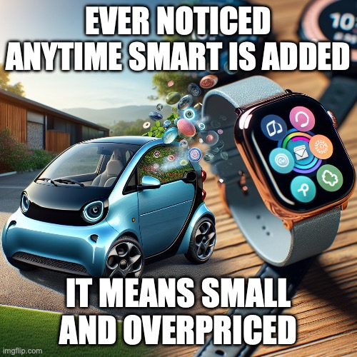 smart scam | EVER NOTICED ANYTIME SMART IS ADDED; IT MEANS SMALL AND OVERPRICED | image tagged in smartwatch,smarthome,smartcar,smartplug | made w/ Imgflip meme maker