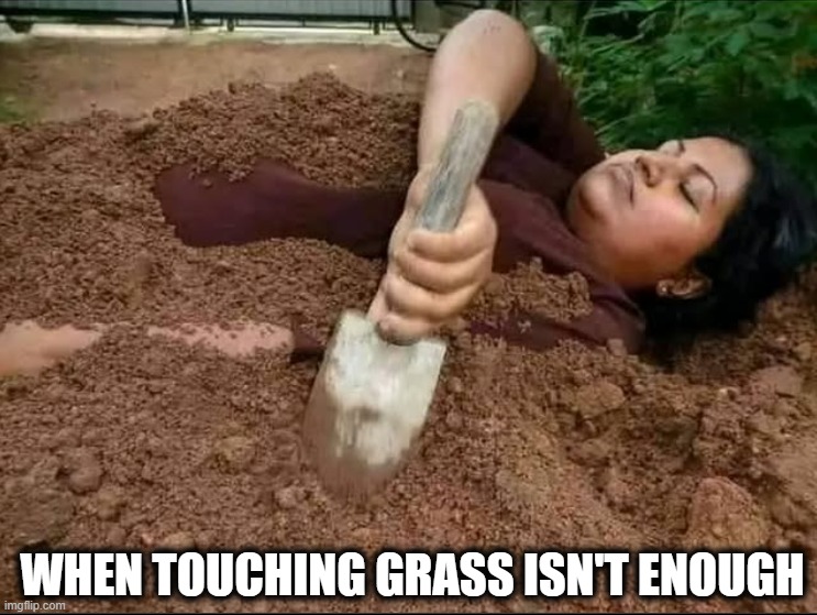 Go outside and touch grass | WHEN TOUCHING GRASS ISN'T ENOUGH | image tagged in touch grass | made w/ Imgflip meme maker