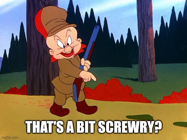 Screwy | THAT'S A BIT SCREWRY? | image tagged in elmer fudd | made w/ Imgflip meme maker