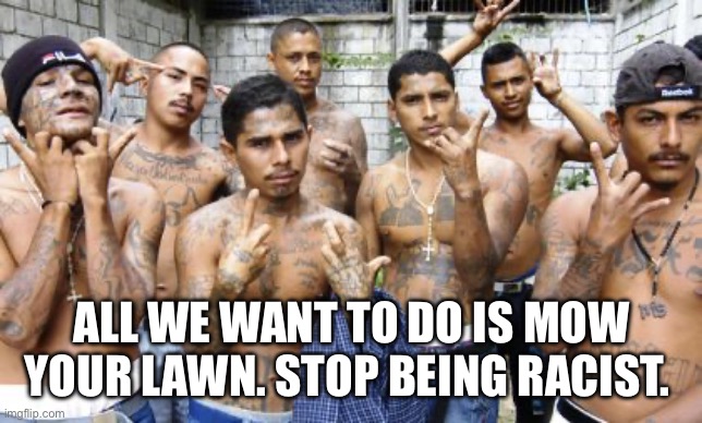 Ms13 | ALL WE WANT TO DO IS MOW YOUR LAWN. STOP BEING RACIST. | image tagged in ms13 | made w/ Imgflip meme maker