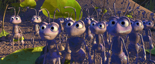 bugs life stare Blank Meme Template