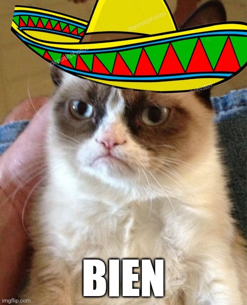 Grumpy Cat Meme | BIEN | image tagged in memes,grumpy cat | made w/ Imgflip meme maker