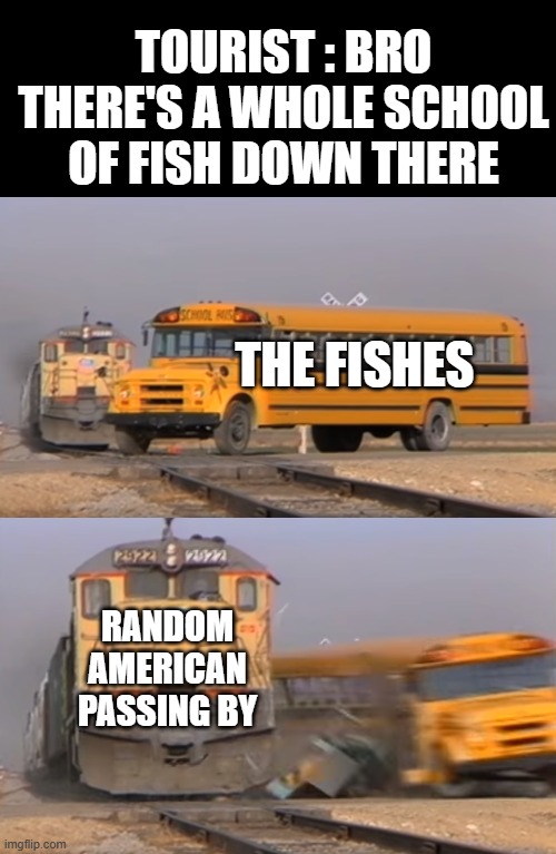 A train hitting a school bus | TOURIST : BRO THERE'S A WHOLE SCHOOL OF FISH DOWN THERE; THE FISHES; RANDOM AMERICAN PASSING BY | image tagged in a train hitting a school bus | made w/ Imgflip meme maker