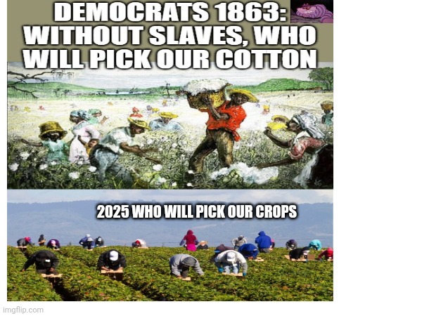 Slaves | 2025 WHO WILL PICK OUR CROPS | image tagged in slaves | made w/ Imgflip meme maker