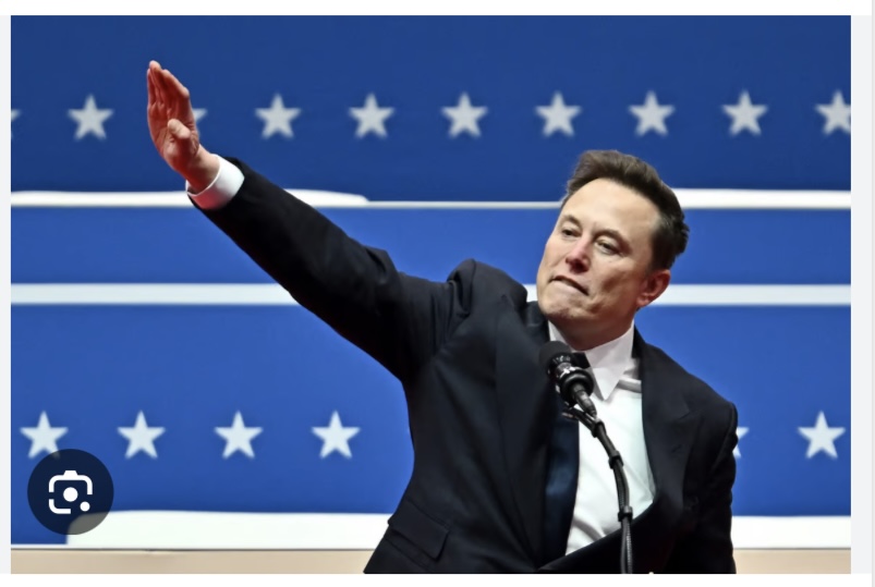 Nazi Elon Musk Blank Meme Template