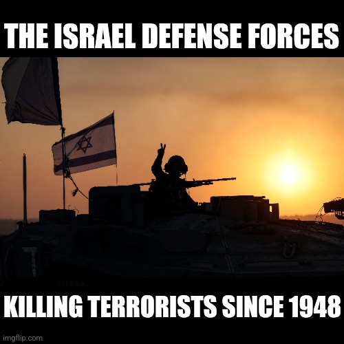 The Israel Defense Forces | THE ISRAEL DEFENSE FORCES; KILLING TERRORISTS SINCE 1948 | made w/ Imgflip meme maker