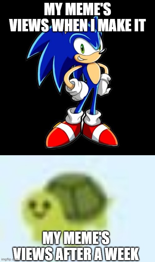 idk what to type | MY MEME'S VIEWS WHEN I MAKE IT; MY MEME'S VIEWS AFTER A WEEK | image tagged in memes,you're too slow sonic,low quality turtle,ice cream | made w/ Imgflip meme maker