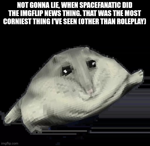 Florp | NOT GONNA LIE, WHEN SPACEFANATIC DID THE IMGFLIP NEWS THING. THAT WAS THE MOST CORNIEST THING I'VE SEEN (OTHER THAN ROLEPLAY) | image tagged in florp | made w/ Imgflip meme maker