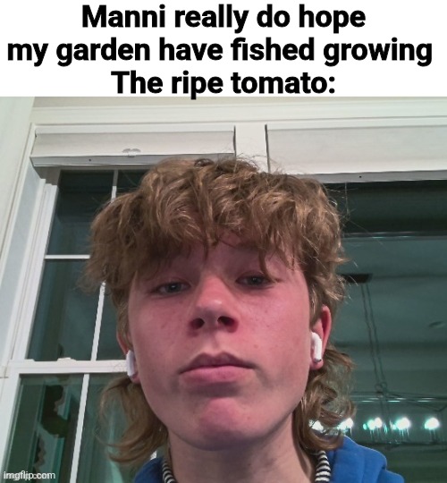 Manni really do hope my garden have fished growing 
The ripe tomato: | made w/ Imgflip meme maker