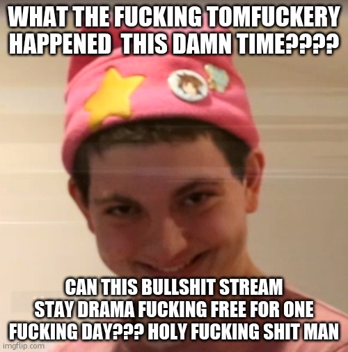 TW for the snowflakes: Excessive swearing | WHAT THE FUCKING TOMFUCKERY HAPPENED  THIS DAMN TIME???? CAN THIS BULLSHIT STREAM STAY DRAMA FUCKING FREE FOR ONE FUCKING DAY??? HOLY FUCKING SHIT MAN | image tagged in vernias face | made w/ Imgflip meme maker