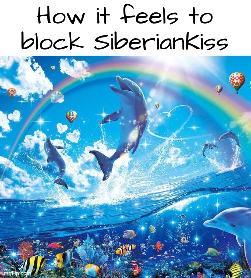 How it feels to x | How it feels to block SiberianKiss | image tagged in how it feels to x | made w/ Imgflip meme maker